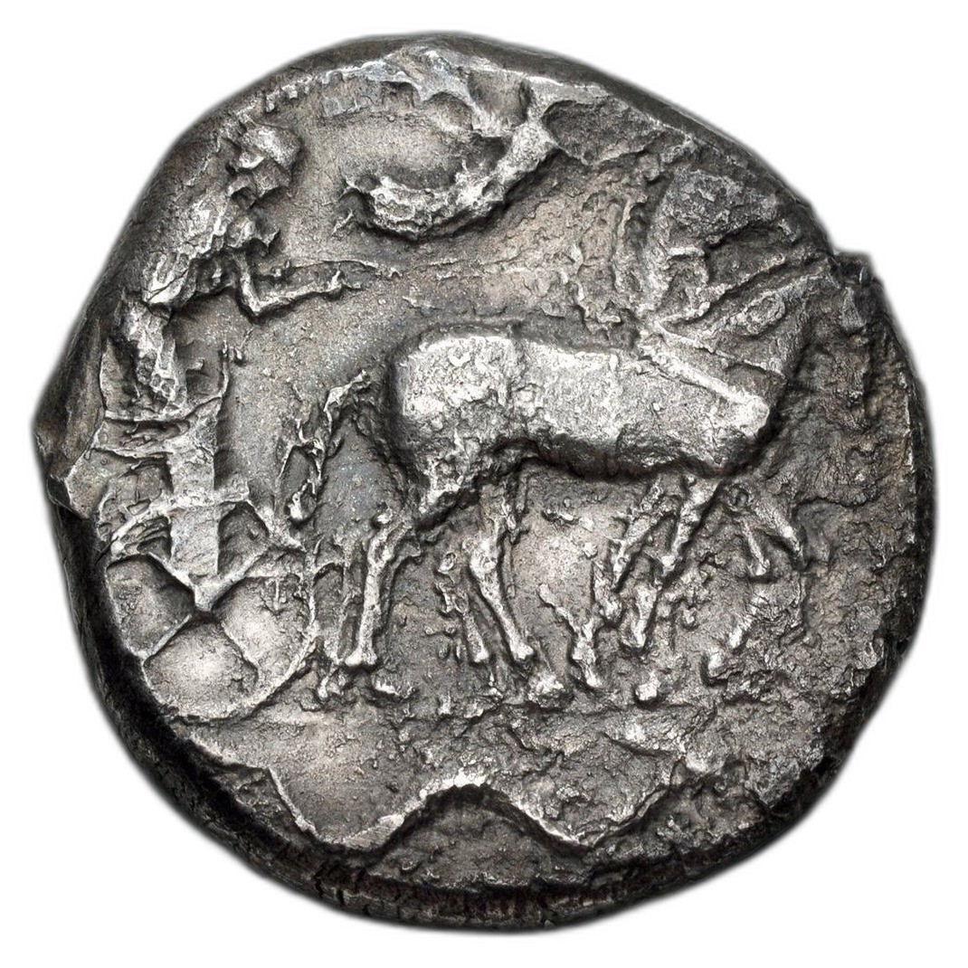 Your coin