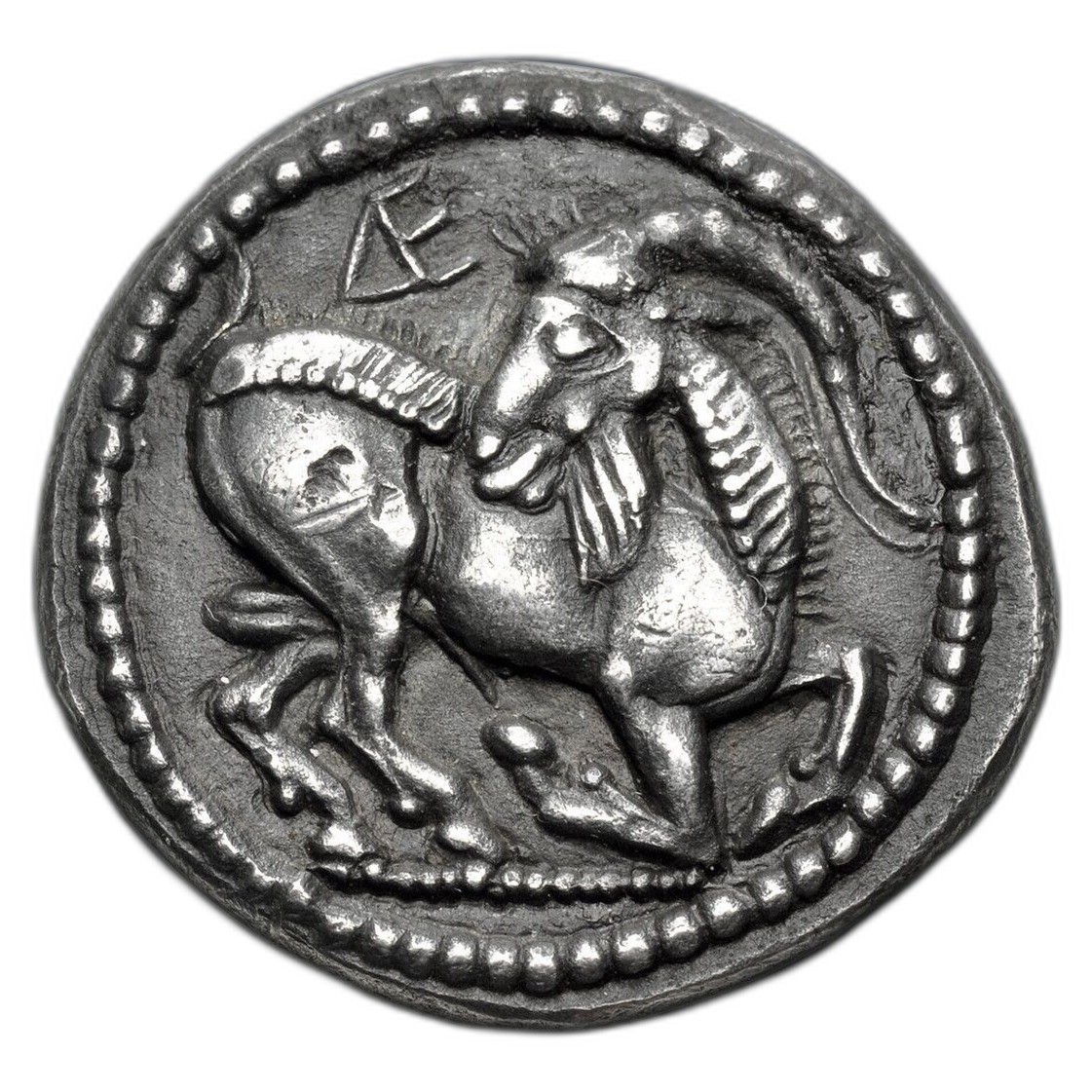 Your coin