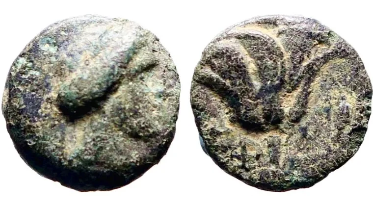 Islands off Caria, Rhodes 350-300 B.C. AE10, 10.4mm 1.28g. Nymph Rhodos /Rose