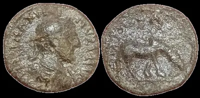Roman Provincial: Maximinus I, 235-238 AD AE 2 4.5mm 6.28g Troas, Alexandria. Horse grazing. RARE