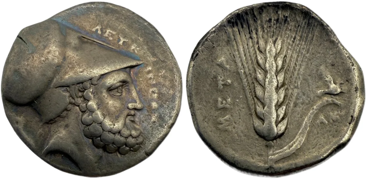 Lucania, Metapontion Nomos - Fine Style