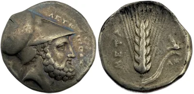 Lucania, Metapontion Nomos - Fine Style