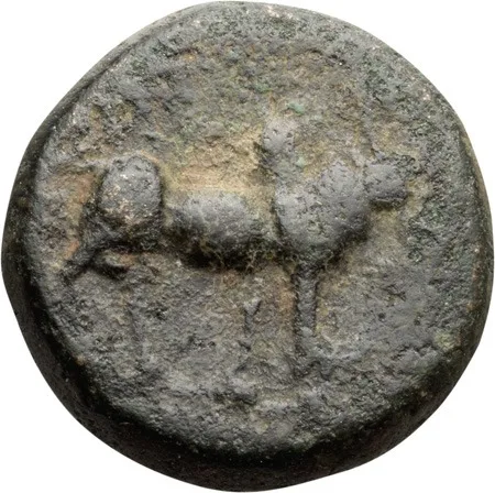 Caria, Aphrodisias. AE  10