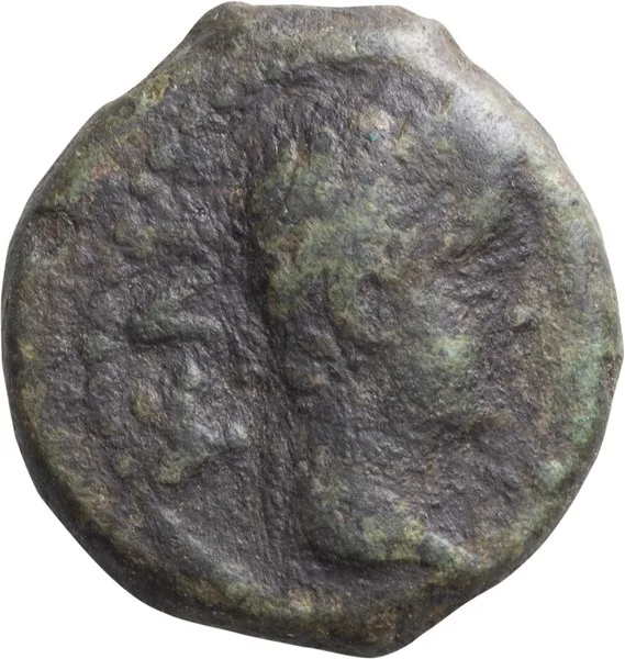 Augustus. AE 15