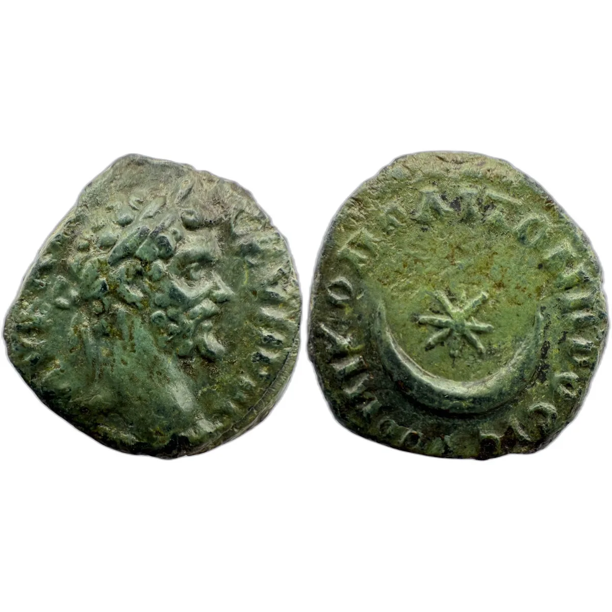 Septimius Severus AE - Enchanting Patina