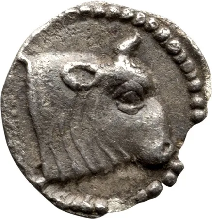 Chalcidian District, Acanthus tetartemorion.