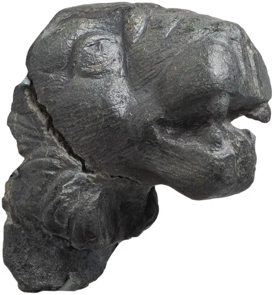 Roman Bronze Lion Head