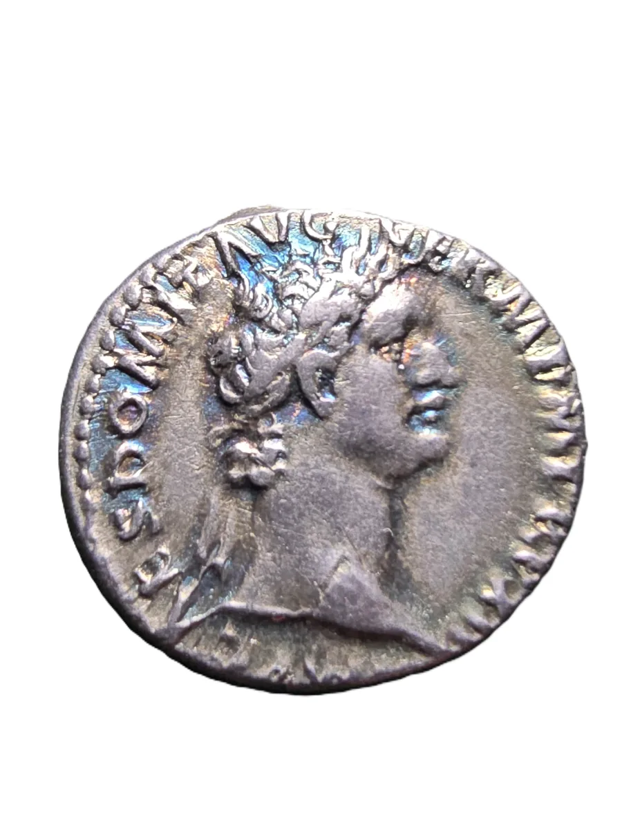 Domitian AR Denarius, RIC 739, Minerva Reverse, Attractive Toning