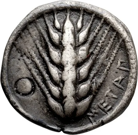 Lucania, Metapontum. Drachm