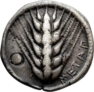 Lucania, Metapontum. Drachm