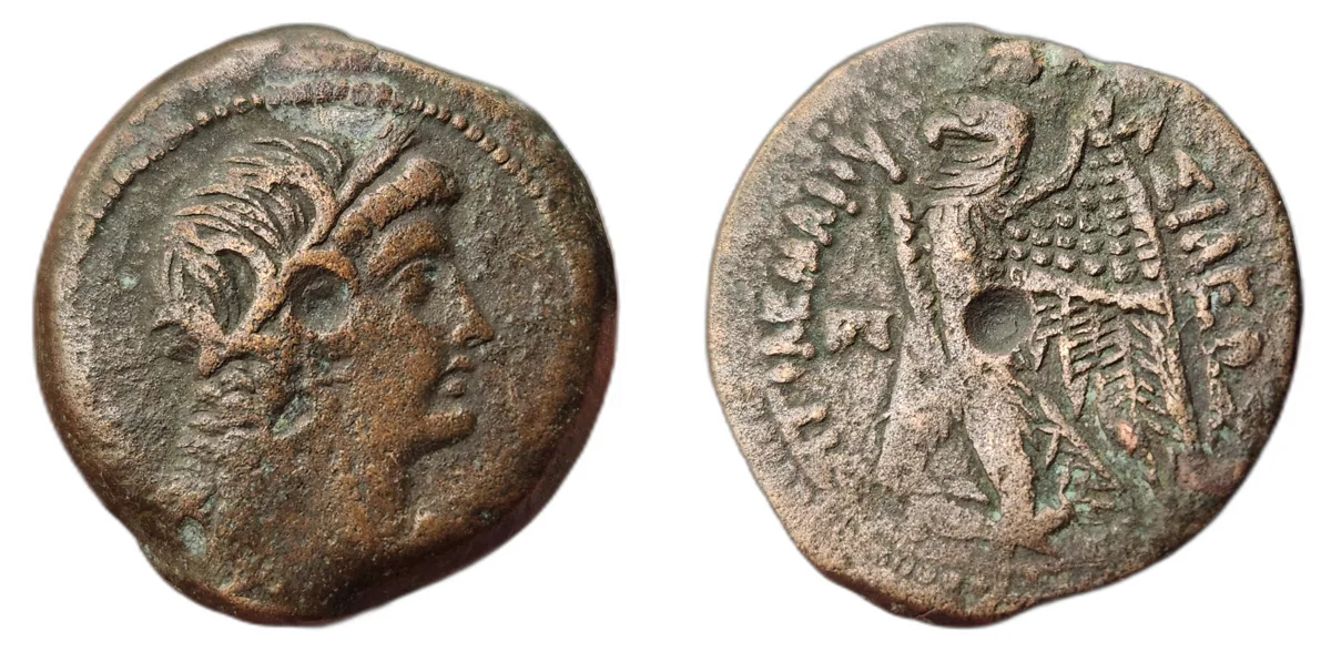 Ptolemy VI Philometor - 14.91 g AE 28 - Bronze