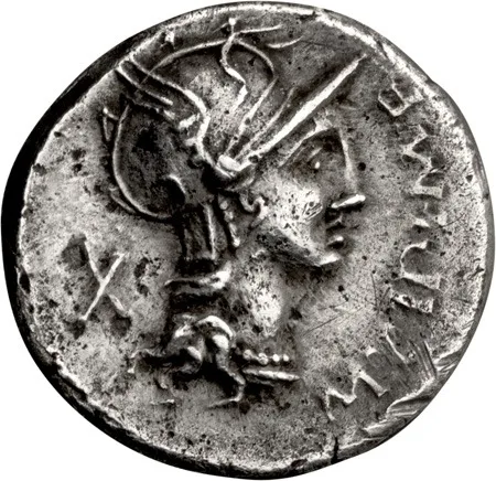 M. Cipius M.f.. Denarius