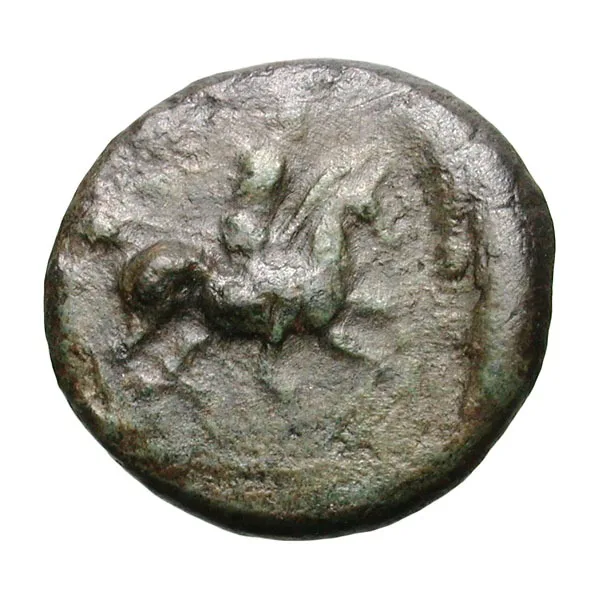 Thessaly, Pelinna. AE 14