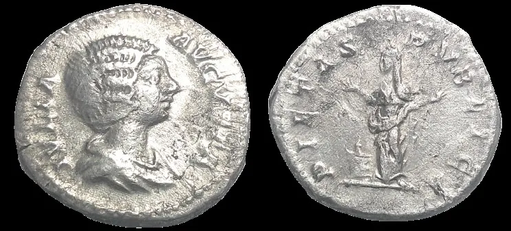 Julia Domna 193-217 AD (Struck 203 AD) AR 18.21mm 3.02gm Denarius Rome