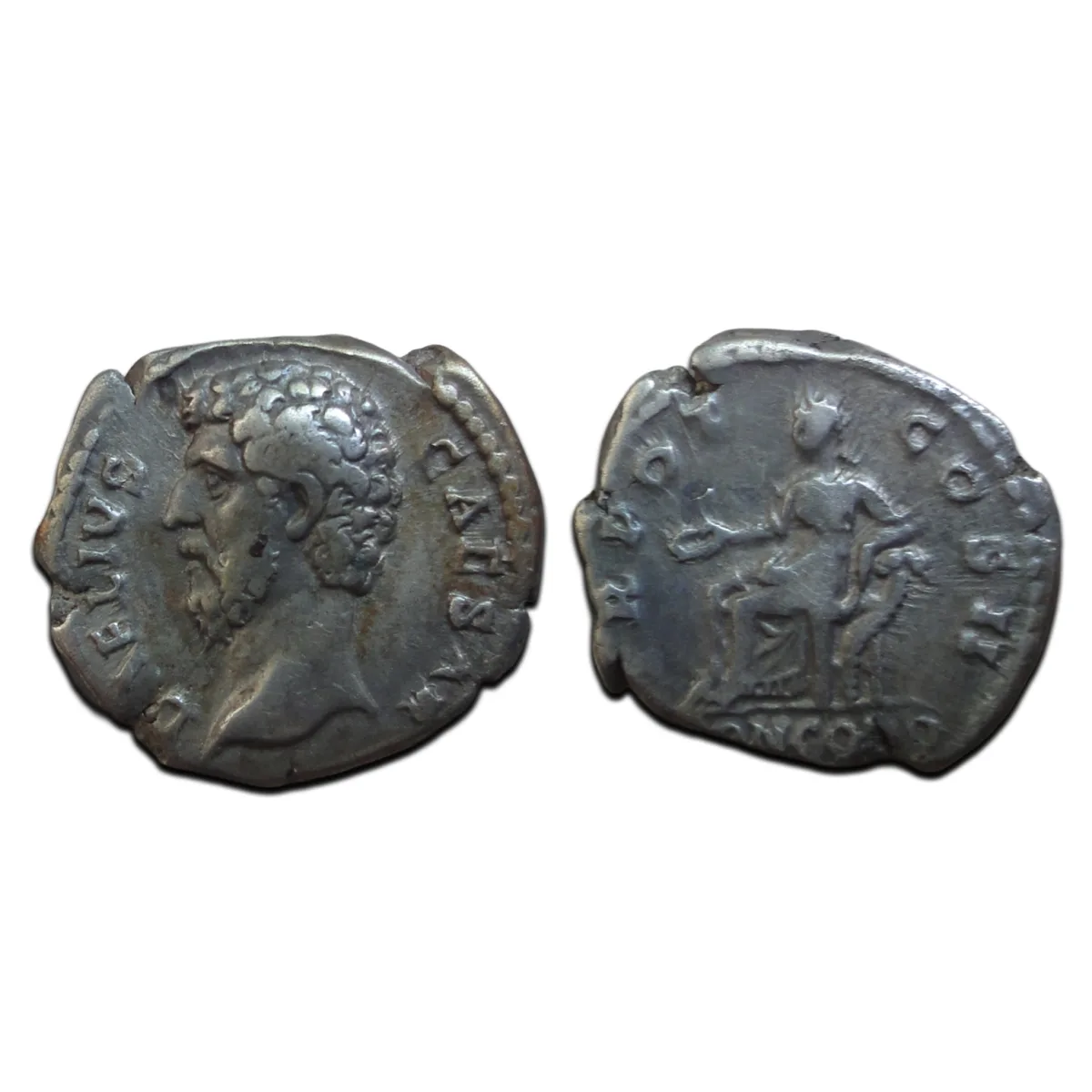 Aelius - Rare Caesar left bust RARE (AU2656)