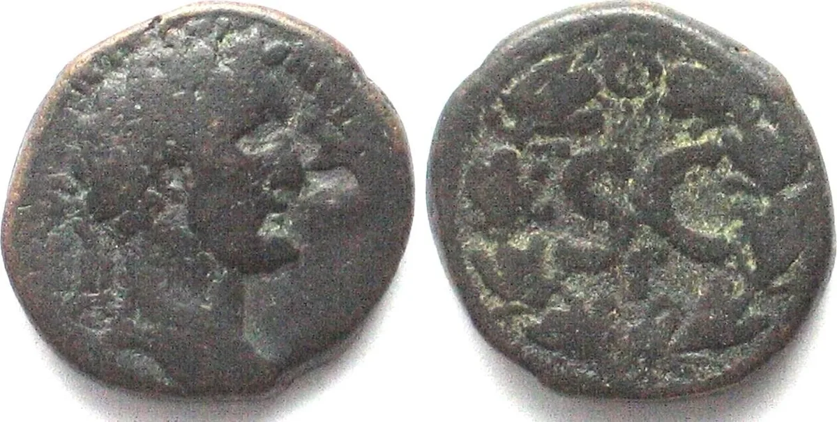138–161 ANTONINUS PIUS (138–161). AE 24mm, Syria, Antiochia, aVF VF-