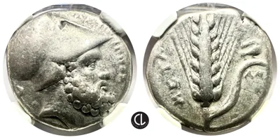 Lucania, Metapontum, AR Stater, Circa 340-330 BC – RR