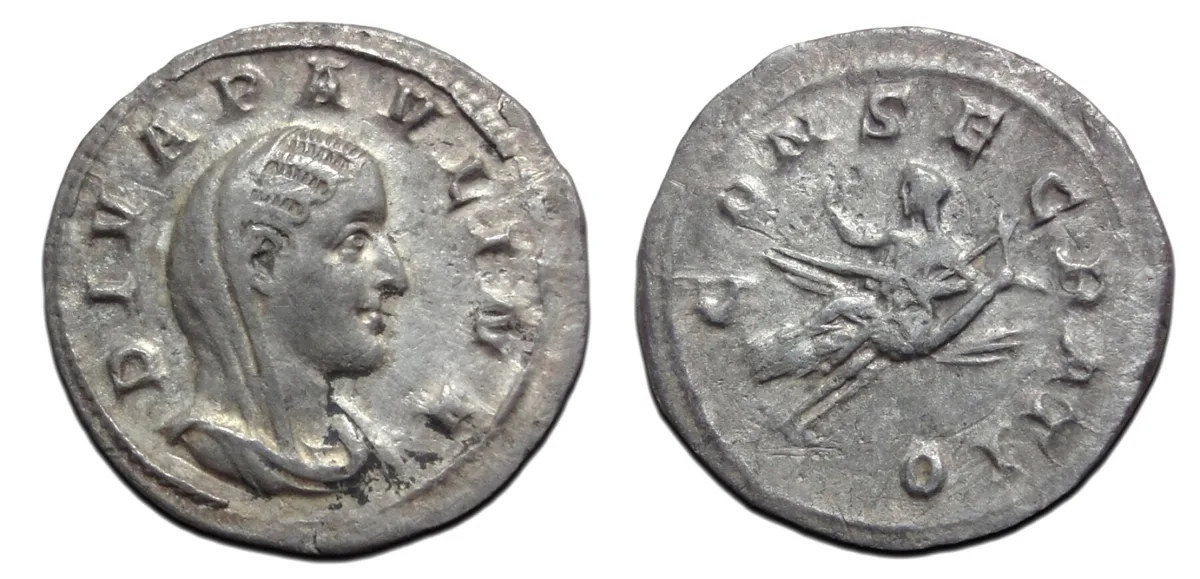Paulina - denarius Wife of Maximinus I very rare (MA2699)