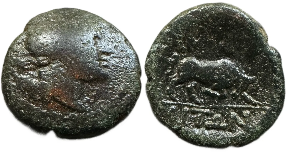 Macedon, Amphipolis, after 148 BC. Rare Type (R2)