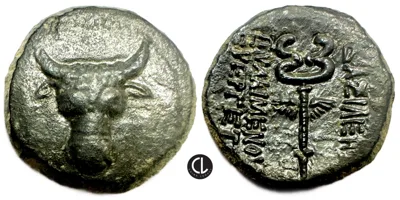 Kings of Paphilagonia, Pylaimenes II/III Euergetes, AE Circa 133-103 BC – (Bull/Keryekion)
