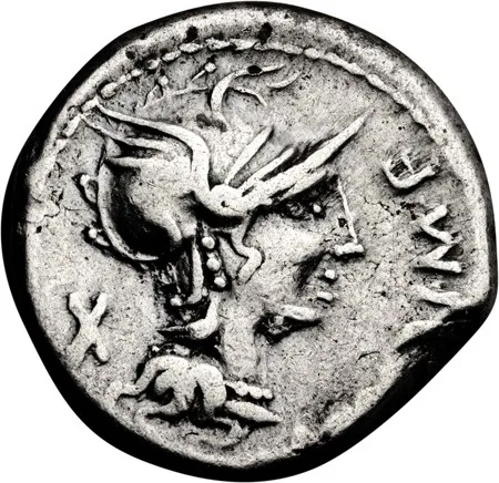 M. Cipius M.f.. Denarius