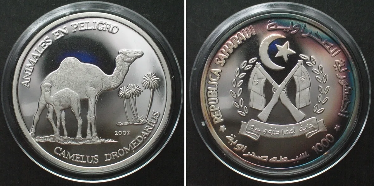 2002 SAHARAWI ARAB D.R. 1000 Pesetas 2002 CAMEL silver Proof SCARCE! Proof