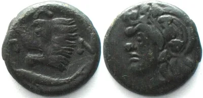 310-304 CIMMERIAN BOSPOROS. Pantikapaion, AE 19mm 310-304 BC, Pan / lion & sturgeon, aXF EF-