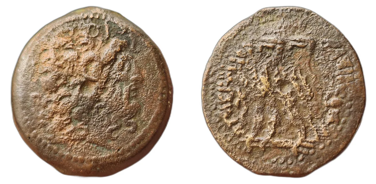 Ptolemy IX Soter II or Ptolemy X Alexander I - 31.00 g AE 33 - 80 Units