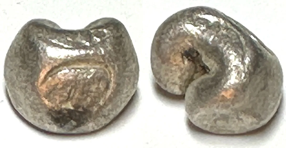 1350-1564 AYUTTHAYA, Salung (1/4 Baht) 1350-1564, Elephant & Shell, Pot Duang Bullet Coin VF