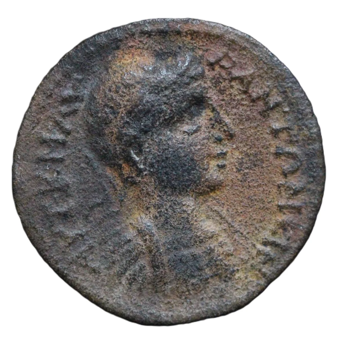 Rare Elagabalus AE26 Apamea Phrygia Lucius M Severus
