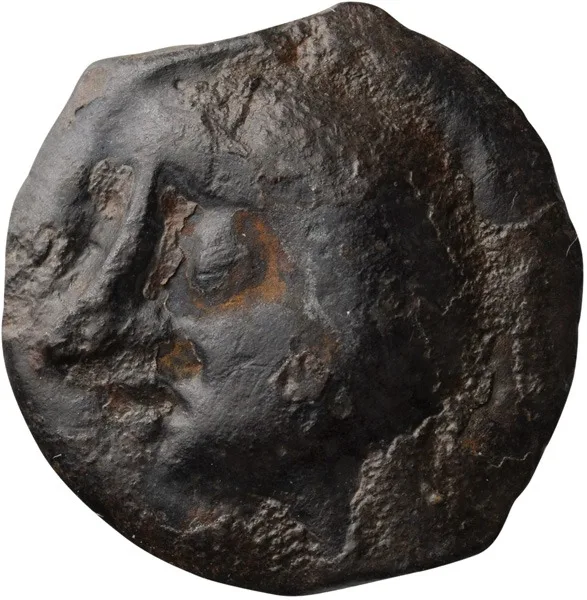 Celtic Gaul, Leuici.