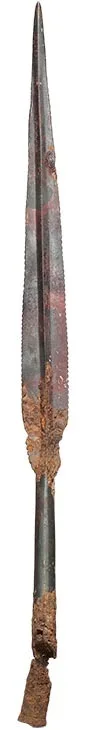 Celtic Iron Spear Head