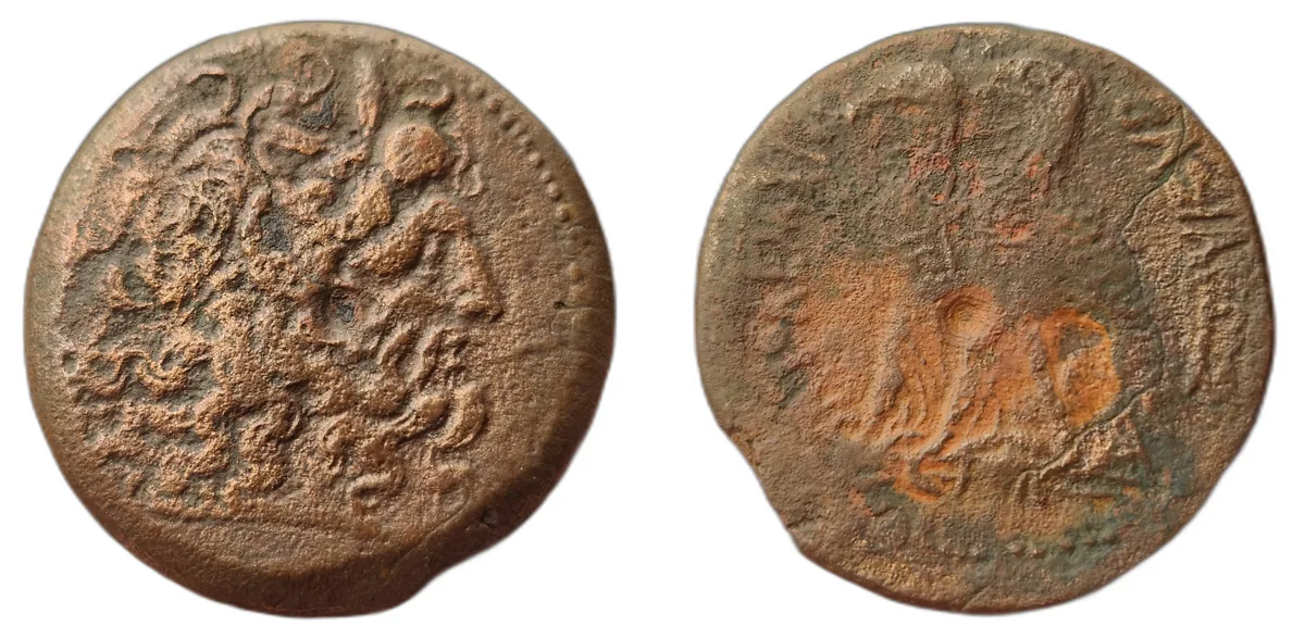 Ptolemy IX Soter II or Ptolemy X Alexander I - 30.89 g AE 35 - 80 Units - Temporary ID