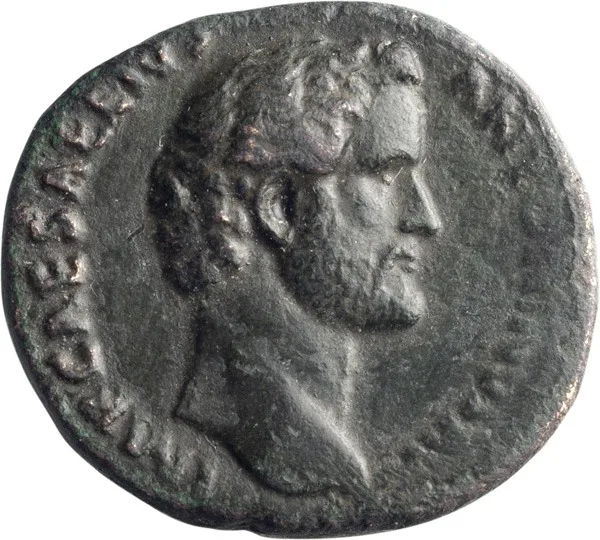Antoninus Pius Mule.