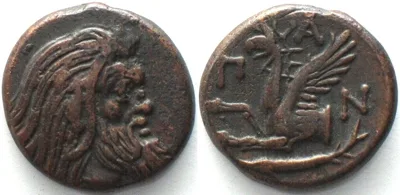 310-303 CIMMERIAN BOSPOROS. Pantikapaion, AE 21mm 310-303 BC, Pan / griffin sturgeon XF! EF