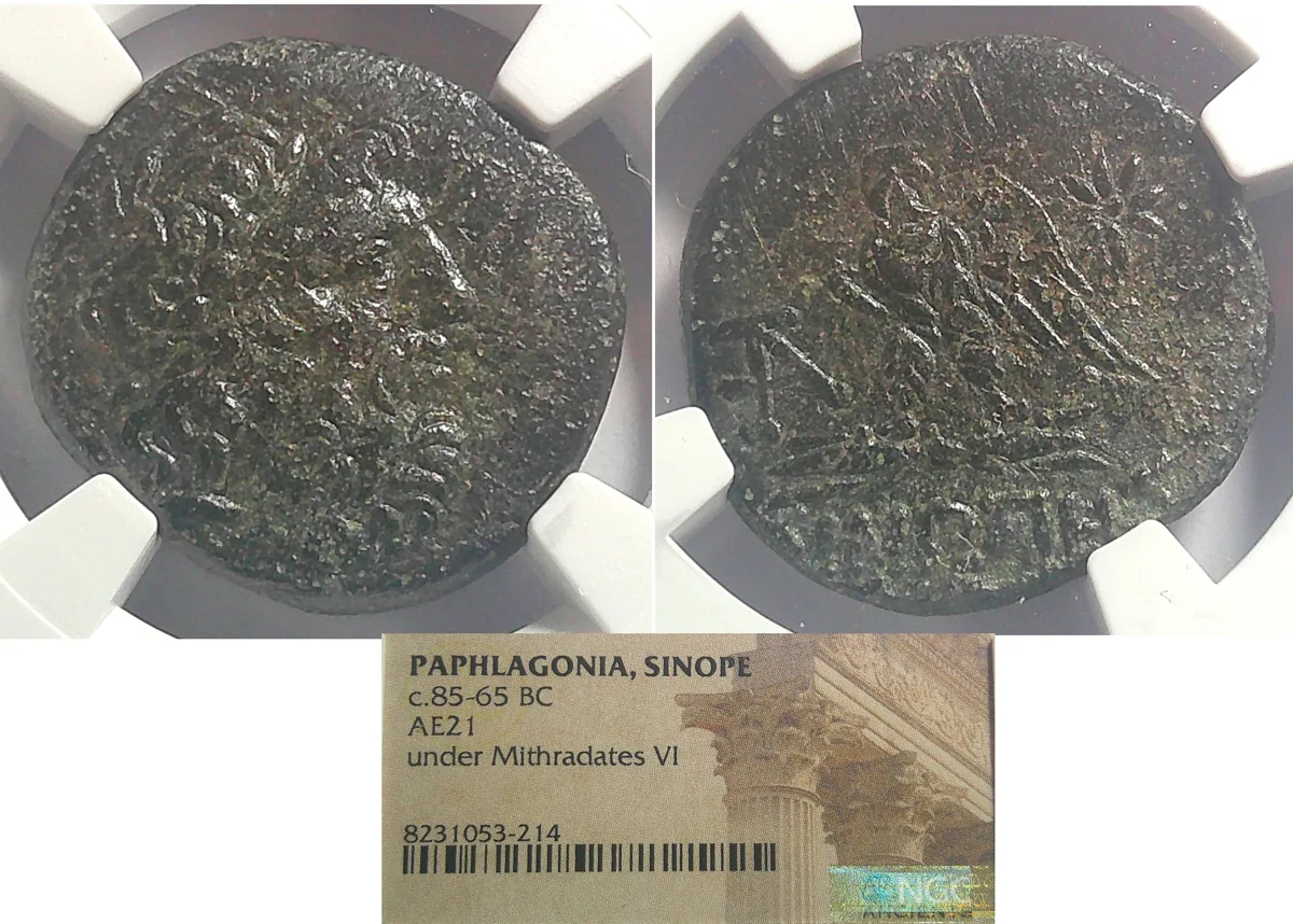 PAPHLAGONIA, SINOPE 95-65 BC AE21 NGC (HG)