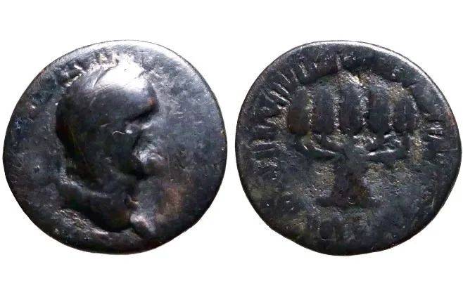 Vespasian 69-79 AD. AE 25mm 7.47gm, Bithynia, Uncertain Mint. Grain bundle, Rare