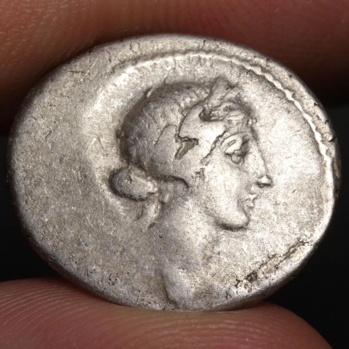 Roman Republic Silver AR Denarius 46BC C. Considius Paetus - Apollo | Curule Chair