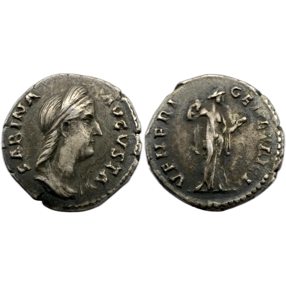 Sabina Denarius- Nicely Toned