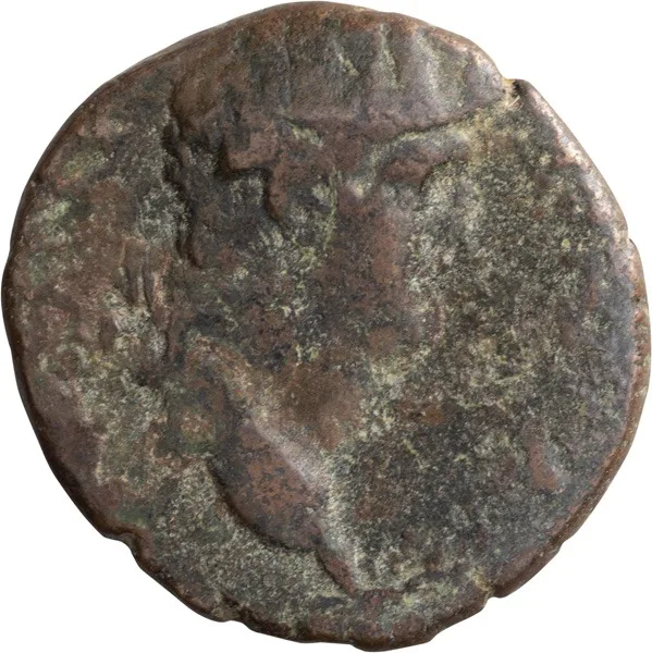 Domitian. AE 19