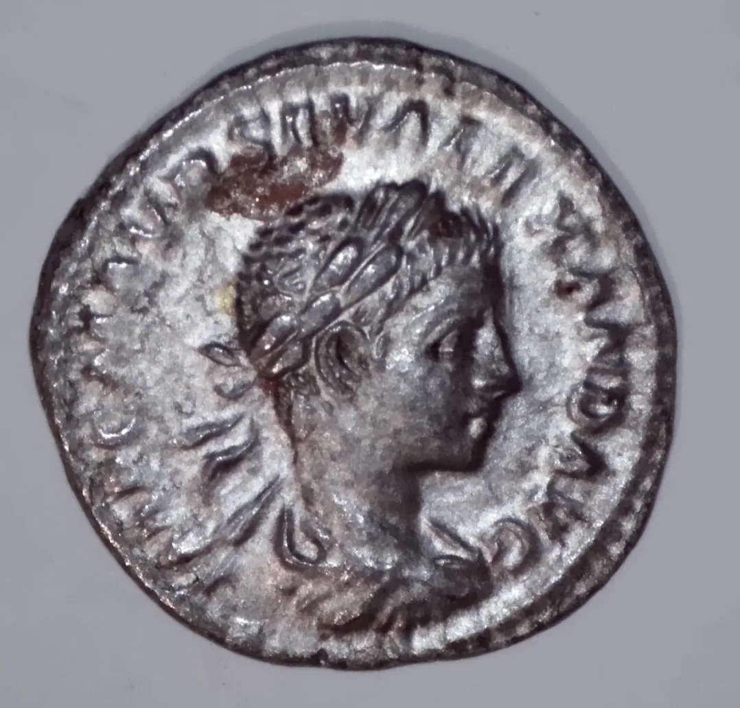 Severus Alexander