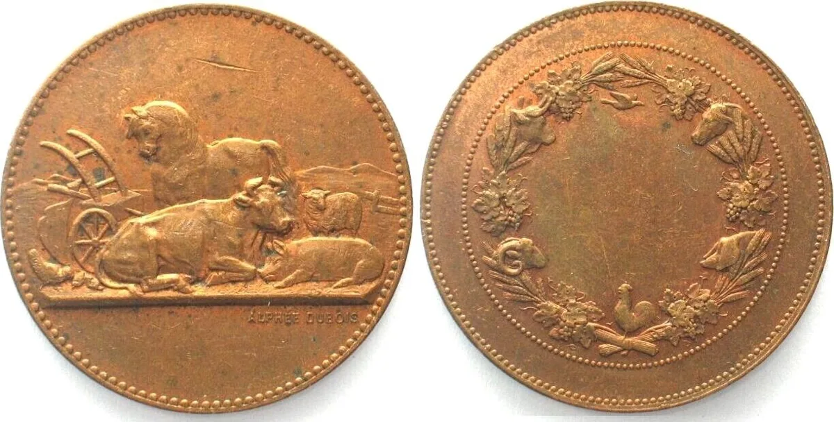 1880 FRANCE Medal ND(c.1880) by ALPHEE DUBOIS bronze 36mm AU