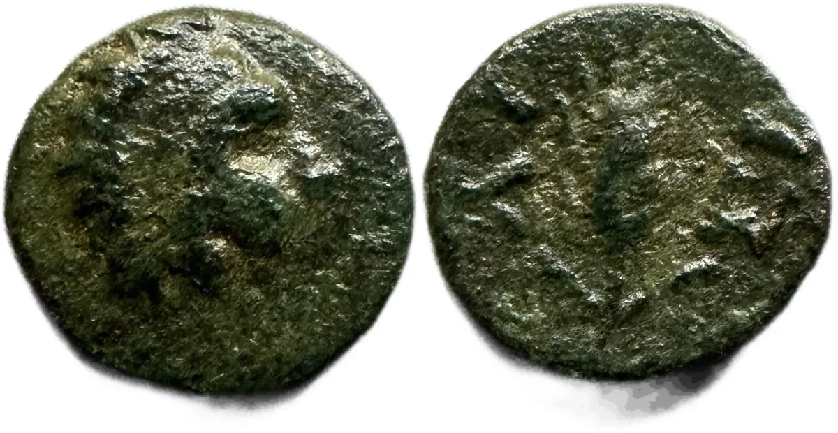 Thrace, Lysimachos, 225-199 BC. Lion/Grain, Unpublished Variety?