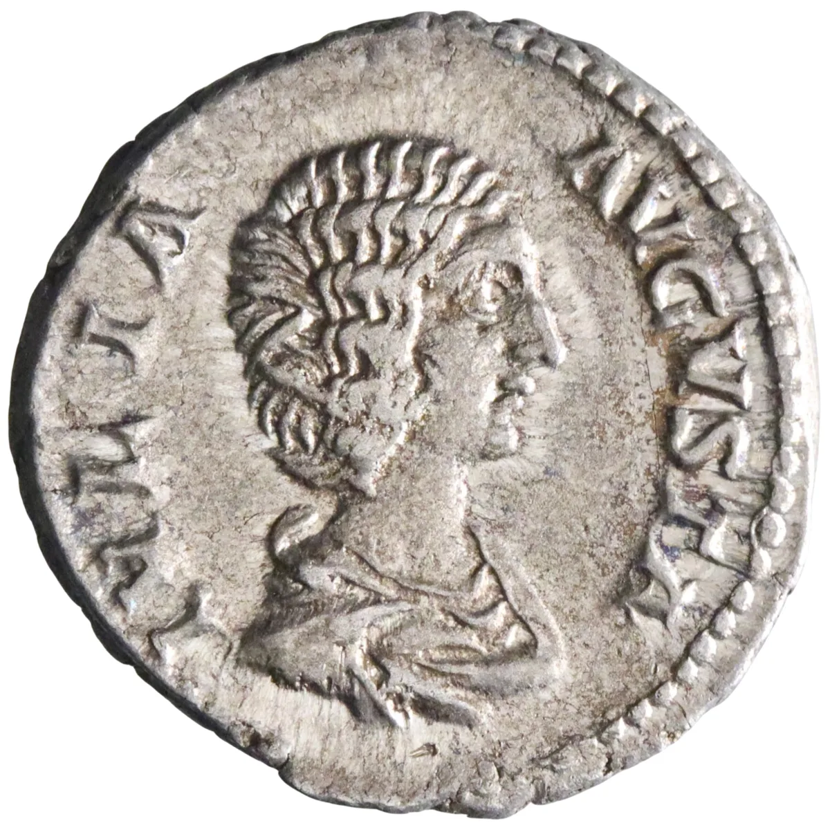 Roman: Julia Domna (193-217), silver denarius (3.51g), Rome mint, 196-211 CE. Hilaritas standing left, holding long palm and cornucopiae; two children at sides.