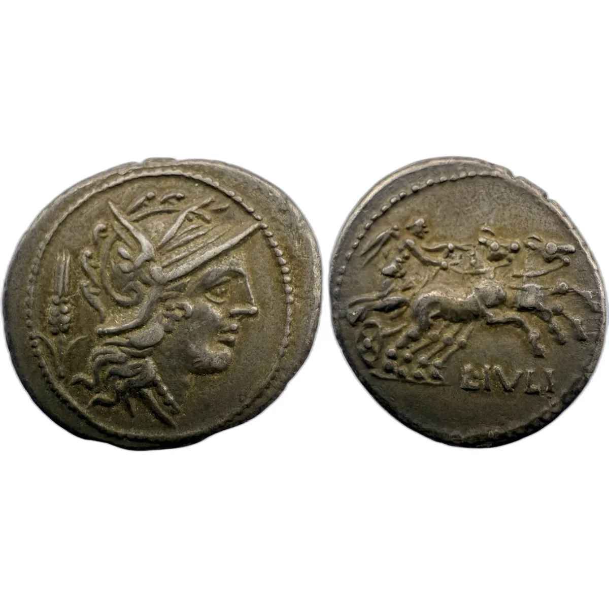 L. Julius Denarius - Old Cabinet Tone