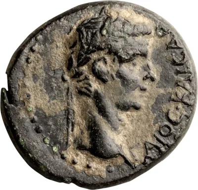 Caligula. AE 19