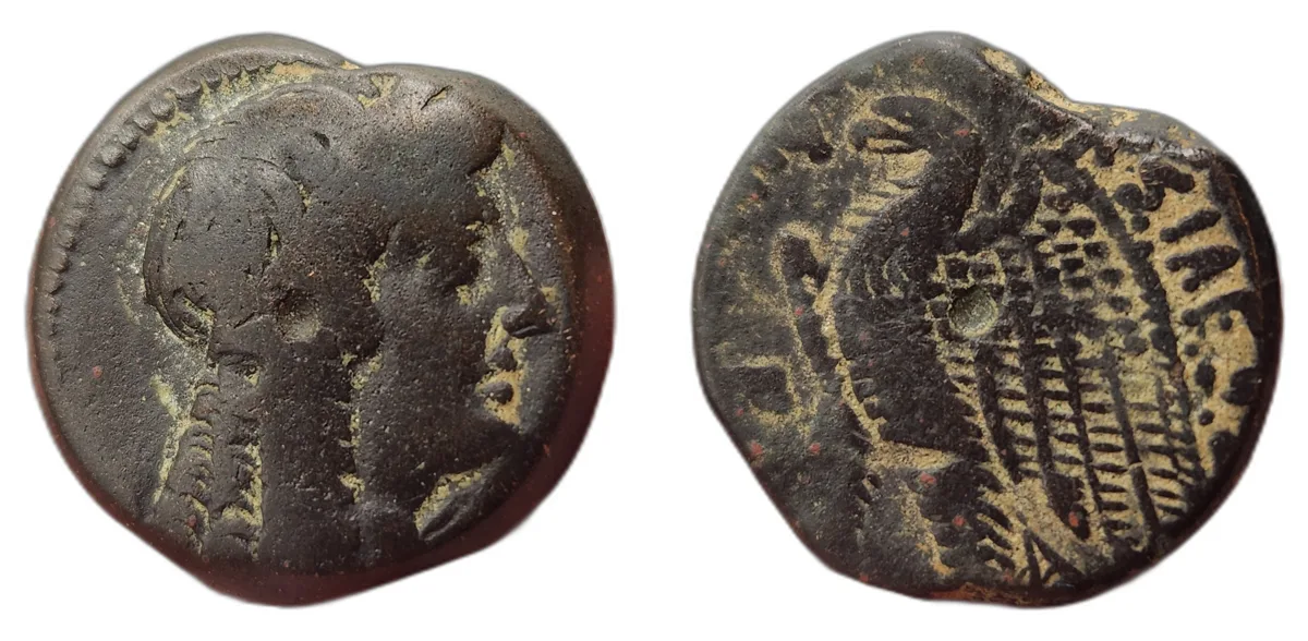 Ptolemy VI Philometor - 13.79 g AE 24 - Bronze