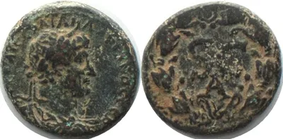 117-138 HADRIAN (117-138 AD). Seleucis & Pieria, Antiochia ad Orontem, AE Semis, VF+