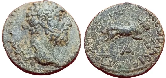 Roman Provincial Commodus 177-192 AD AE 20.5mm 6.14gm Syria, Cyrrhestica, Hierapolis. Bull leaping Very Rare