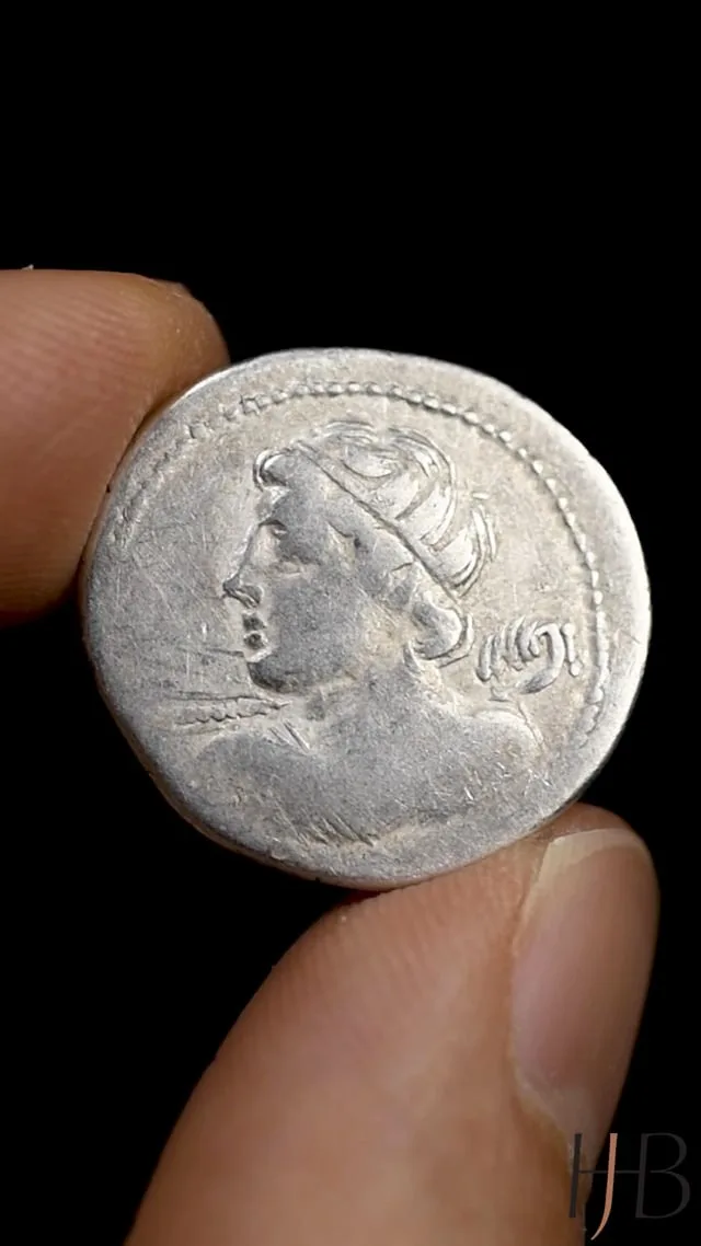 C. Licinius L.f. Macer. Denarius